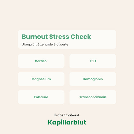Burnout Stress Check