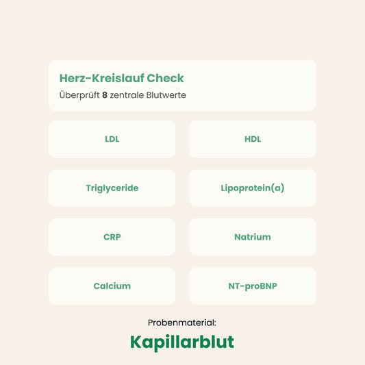 Herz-Kreislauf Check
