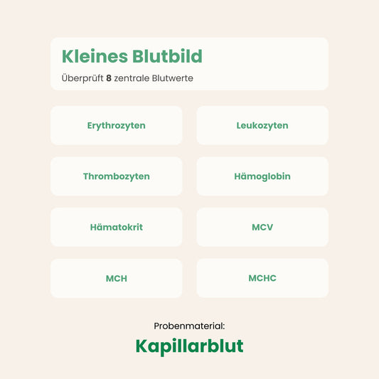 Blutbild Check (Kleines Blutbild)