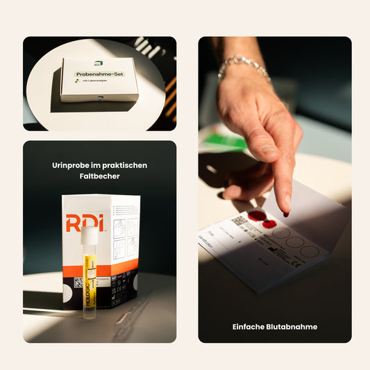 Komponenten des Urin- & Trockenblut Proenahme-Sets von DoctorBox