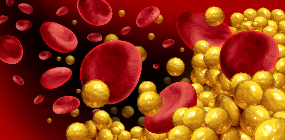 Kleine gelbe unregelmäßige Kreise neben roten unregelmäßigen Kreisen, die Fett- und Blutkörper darstellen sollen, sind auf dem Bild zu erkennen.