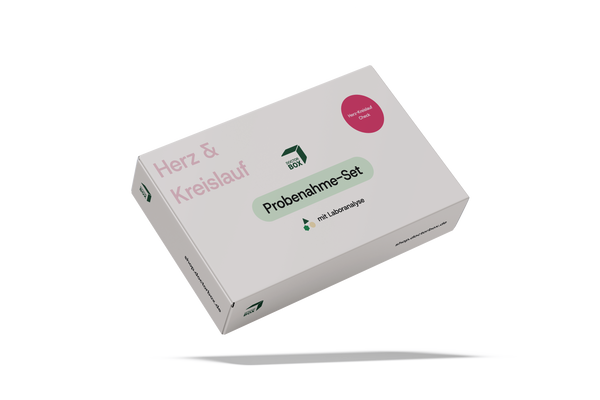 Herz-Kreislauf Check