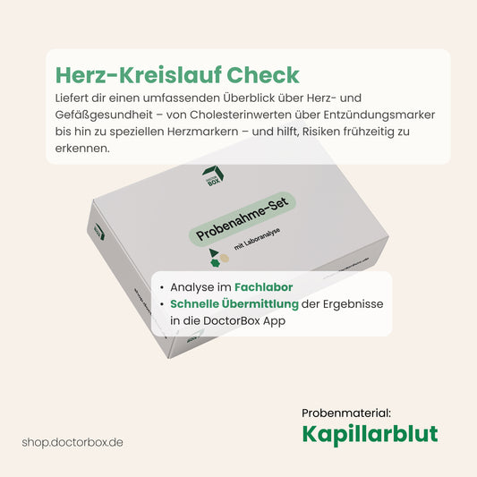 Cardiovascular Check