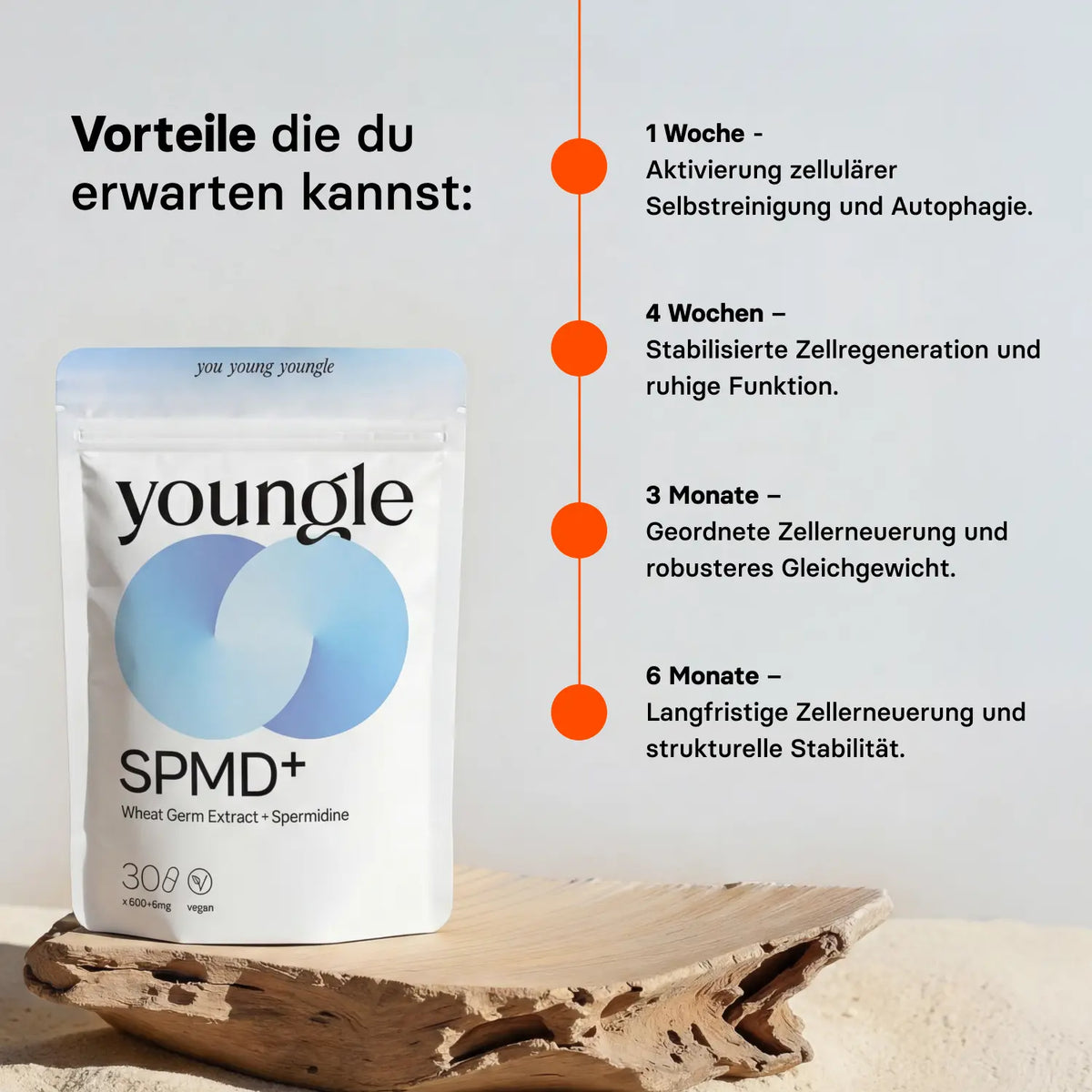 Spermidin - Kapseln
