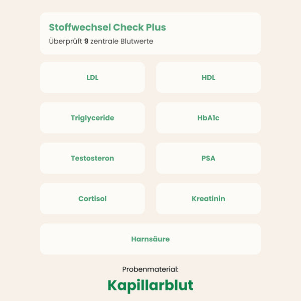 Stoffwechsel Check Plus